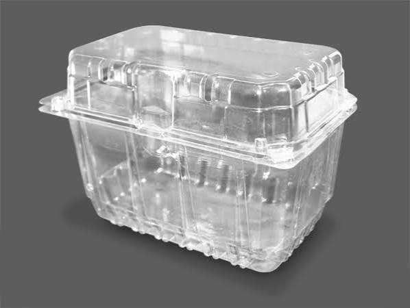 ENVASE FRUTILLERO 1KG