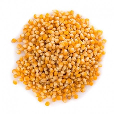 MAIZ PALOMITAS KG