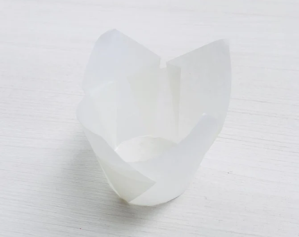 TULIPA BLANCA UNI